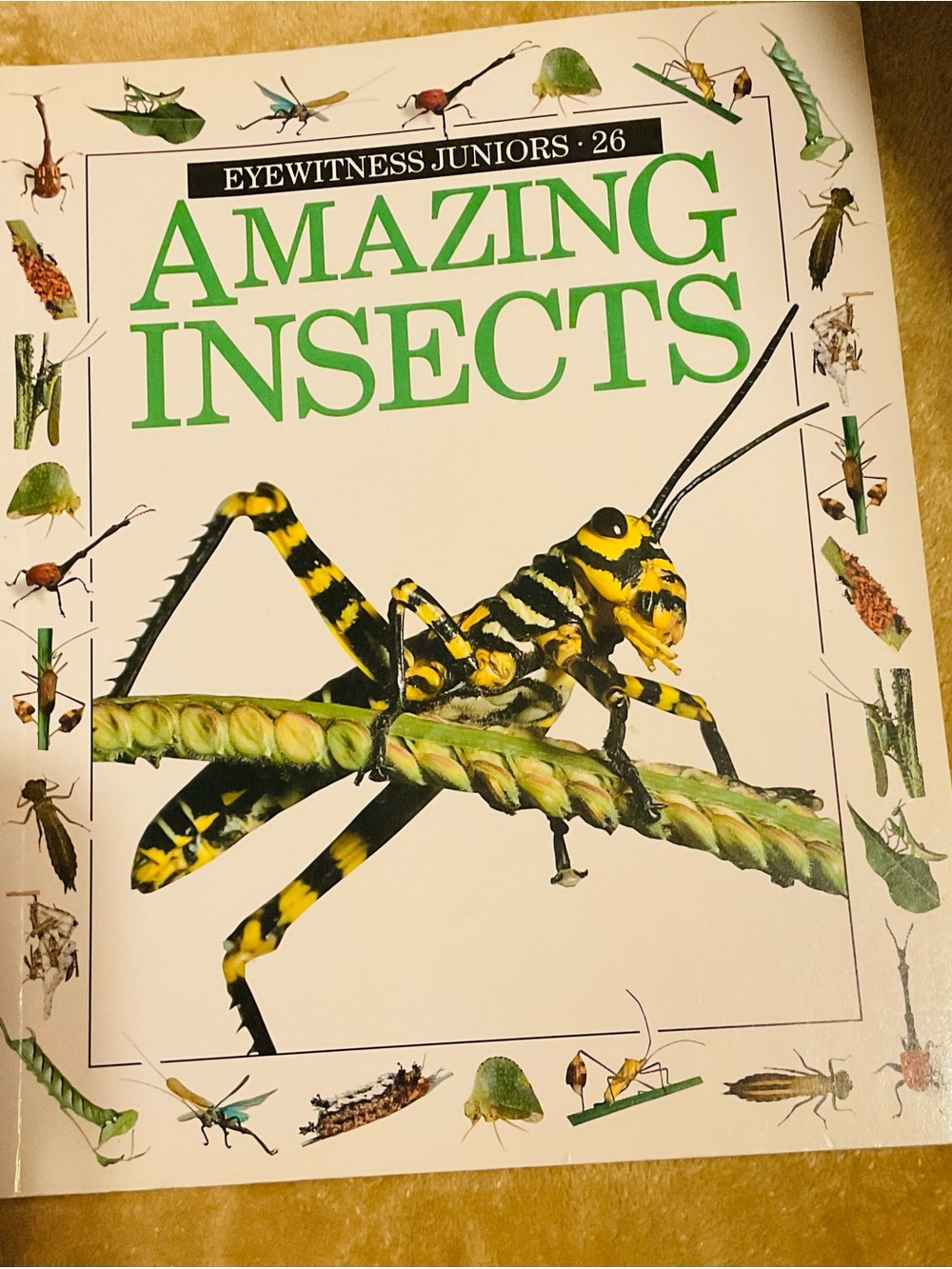 Eyewitness Juniors: Amazing Insects - Kids Book